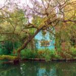 Hortillonnages d'Amiens - Roland Lagoutte