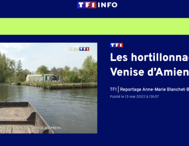 tf1 reportage